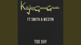 Too Shy to Shy feat Smith and Westin Riff Rapture amp Galleon Djs 4Play Remix [upl. by Enyaht]