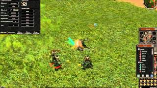 Metin2Patron Lets Play Cedra Rangpunkte Farmen  like a Patron Funclip 014 [upl. by Tlihcox]