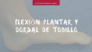 Flexión plantar y dorsal de tobillo [upl. by Yarb439]