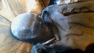 Mummified Monks in Capuchin Crypt Brno CZ [upl. by Sieber579]