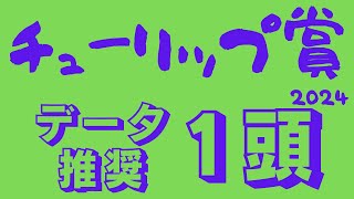 【チューリップ賞2024】データ予想｜逆神発令中！データで推せる1頭 [upl. by Darci]