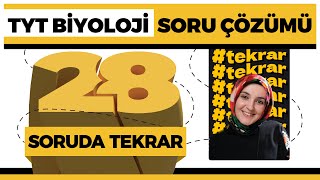 TYT Biyoloji Soru Çözümü  TYT Tekrar [upl. by Ubana]