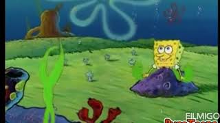 Spongebob squarepants episode 3 part 1 Sandy Tea in hindi  Spongebob squarepants hindi [upl. by Eisak]