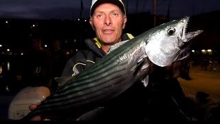 PALAMITE dal MOLO  A PESCA con la CANNA BOLOGNESE con MARCO VOLPI [upl. by Douty]