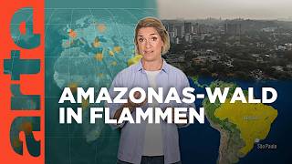 Amazonasgebiet Der Regenwald brennt  Mit offenen Karten  Im Fokus  ARTE [upl. by Assillam]