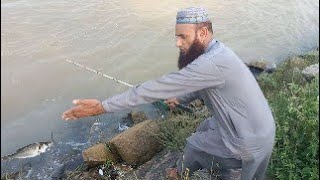 Fishing With Hook  Fish Video  Fishing Video  fish fish  Fishing at River  Fish Hunting 🐟 🐠 🎣 [upl. by Akeimat475]