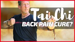 Can Seated Tai Chi Heal Back Pain [upl. by Nemraciram]