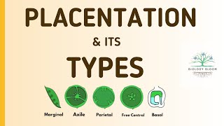 Placentation and its types  Marginal Axile Parietal Free Central amp Basal  Biology Bloom [upl. by Simaj]