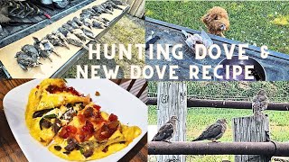 Hunting Doves and Making a Dove omelette ranchero [upl. by Lais]