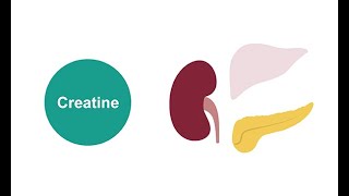 Measuring serum creatinine [upl. by Ramhaj936]