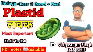 Plastid  लवक क्या होता है  Chloroplast  Chromoplast Leucoplast  Cell organelles [upl. by Latricia578]