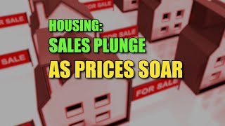 Housing Sales Plunge as Prices Soar [upl. by Iur]