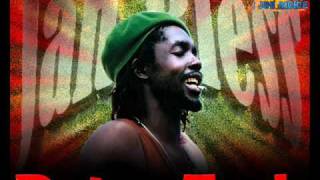 Peter Tosh  Peace Treaty [upl. by Pish]