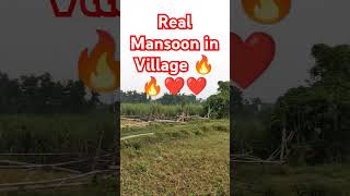 Real Village Top Video villagelife village villagevlog agriculture shorts [upl. by Bray]