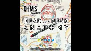 13 Head amp Neck Anatomy [upl. by Yrtnahc]