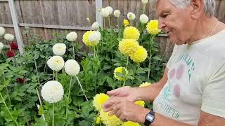 Dave Spencer Plot Tour amp New Varieties 2023 [upl. by Barrington]