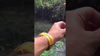 Fly fishing μετά από καιρό onlytroutfishing fishing catchandrelease flyfishing [upl. by Direj]