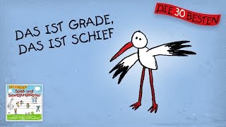 Das ist grade das ist schief  Die besten Spiel  und Bewegungslieder  Kinderlieder [upl. by Henigman299]