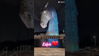 Kelpie OrKelpie horselife roblox kelpies scotland capcut edit viralshort fyp [upl. by Ymas]