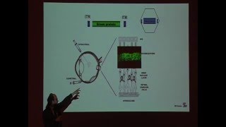 Applicazione della terapia genica nella retinite pigmentosa  Dott Enrico Maria Surace [upl. by Hsirap]