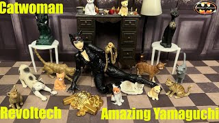 Amazing Yamaguchi Catwoman Revoltech Batman Arkham Knight Anime Action Figure Review amp Comparison [upl. by Gnaig818]