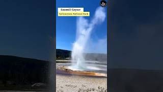 Yellowstone Geyser Eruption  shorts yellowstone geyser volcano eruption nature [upl. by Hctud521]