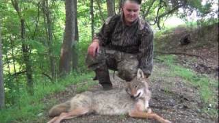 Spring Gobbler Coyote Kill Pennsylvania 2011 [upl. by Velvet]