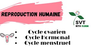 cycles ovarien hormonal et menstruel chez la femme BAC SVT [upl. by Avehs]