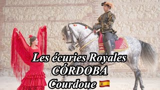 4K LES ÉCURIES ROYALES🇪🇸 الاسطبل الملكي🇪🇸CÓRDOBA🇪🇸Courdoue🇪🇸Andalousie🇪🇸الاندلس🇪🇸اسبانيا🇪🇸Vlog [upl. by Ed]