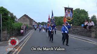 Derrylee Flute Band  Portadown True Blues parade 2023 [upl. by Eignav]