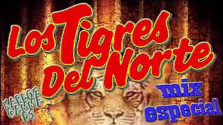 Los Tigres Del Norte Mix 2020 Pa Pistear  Un Mix Para Esos Charitas [upl. by Ad]