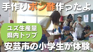 「生産量県内トップ！安芸市特産のユズを使ったポン酢作り 地元の小学生が挑戦」2024618放送 [upl. by Geri]