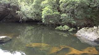 2018 02 03 1 Bundanoon Creek [upl. by Ahsilahs]