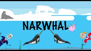 The narwhal song  Songs for kids  Aquatic animals for kids  Learn about narwhals [upl. by Nirrok]