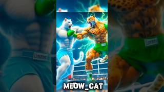 cat vs cheetah boxing match 😮 cat animals funny cartoon cute [upl. by Auberta]