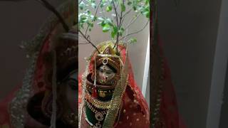 Jai Tulsi Mata tulsi shorts viral shortsfeed short [upl. by Hesta563]