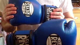 CLETO REYES Boxing Gloves 14oz Velcro Review [upl. by Ayamahs862]