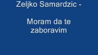 Zeljko Samardzic Moram da te zaboravim [upl. by Bessie]