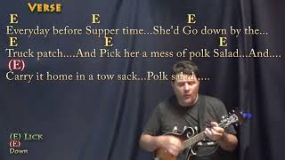 Polk Salad Annie Tony Joe White Mandolin Cover Lesson in E with ChordsLyrics [upl. by Bedwell]