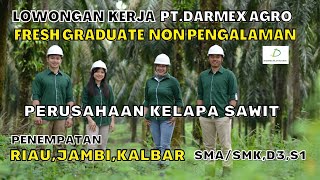 Management Trainee PTDamex Agro Lowongan Untuk Fresh Graduate Non Pengalaman  SMASMKD3 amp S1 [upl. by Nymzaj]