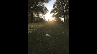 quotThe Sun Powers the Wheel of the Year” A Summer Solstice [upl. by Dorella]