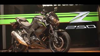 Kawasaki Z250 2018 on sale in Phnom Penh market now [upl. by Yesdnik184]