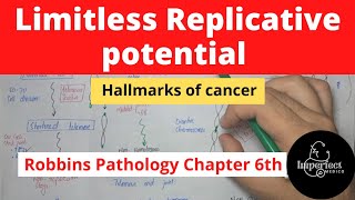 Limitless Replicative Potential Immortality Hallmark of Cancer pathology neoplasia mbbslectures [upl. by Odine129]