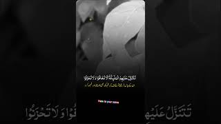 INALLAHA TILAWAT E QURAN HEART TOUCHING ytshort duet trending ytshort ISLAMICsubscribe [upl. by Adnoyek]