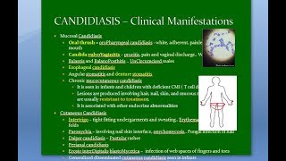 Microbiology 585 b Candida Candidiasis fungus fungi mycosis vulvoVaginitis intertrigo ID reaction [upl. by Rillings]