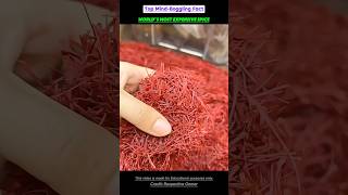 Why Saffron is the Worlds Most Expensive Spice facts fyp saffron trend viralshorts [upl. by Dnalyaw597]