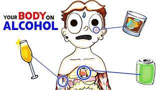 How Alcohol Changes Your Body [upl. by Lossa]