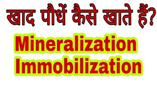 Mineralization and Immobilisation in the plant।Nitrification Process।Nitrobactor and Nitrosomonas [upl. by Handal]