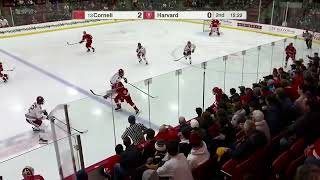 Highlights Cornell Mens Hockey at Harvard 12624 [upl. by Nydia]