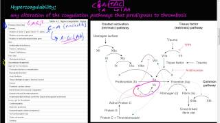 55P  Virchows triad Hypercoagulability Mutation in factor V and prothrombin genes [upl. by Nelehyram]